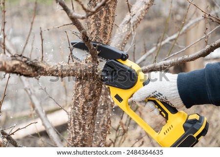 Gardener's hand cuts branch on a tree, with using small handheld lithium battery powered chainsaw. Season pruning. Trimming trees with chainsaw in backyard home. Season cut tree. Close up.