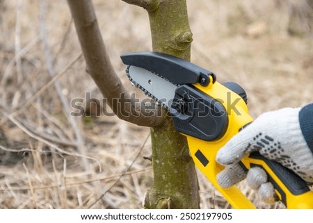 Gardener's hand cuts branch on a tree, with using small handheld lithium battery powered chainsaw. Season pruning. Trimming trees with chainsaw in backyard home. Season cut tree. Close up.
