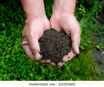 Gardener's Hands Holding Dirt