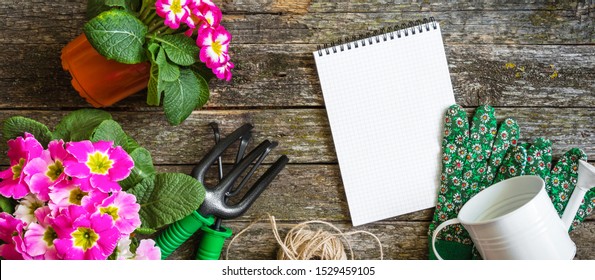 Gardeners Hands Planting Flowers At Back Yard Gardening Tools On Soil Background. Spring Garden Works Concept