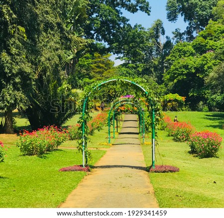 garden,flowers,beautiful place,nature photo ,landscape ,beautiful srilanka,happy place