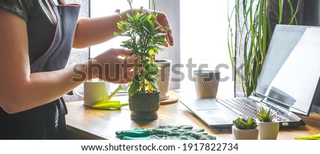 Garden.gardening home. Girl replanting green pasture home garden.indoor garden,room with plants banner Potted green plants at home, home jungle,Garden room gardening, Plant room, Floral decor.