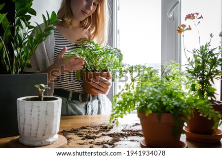 Similar – Woman makes wild flower pile at home