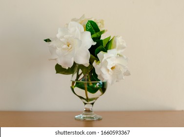 Gardenia Bouquet In Glass Of Water Put On The Wooden Table Against White Wall.