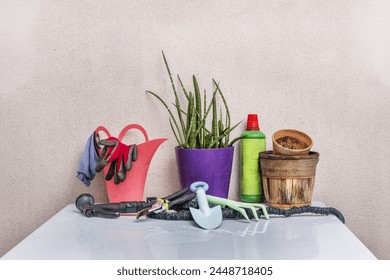 Gardening accessories with hose, gloves, empty pots and plants on a light blue square metal outdoor table - Powered by Shutterstock