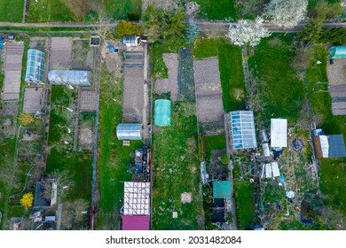 Gardening Allotment Aerial Landscape View In Poland. Spring Time.