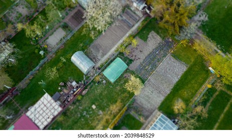 Gardening Allotment Aerial Landscape View In Poland. Spring Time.