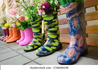Wellies Flowers Images, Stock Photos 