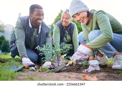 Gardening, community service and people volunteering in park, garden and nature for sustainability. Climate change, happy team and tree plants in sand for earth day project, growth and green ecology