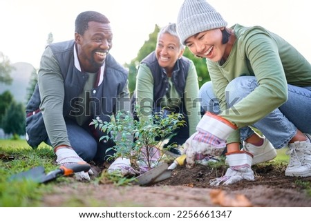 Gardening, community service and people volunteering in park, garden and nature for sustainability. Climate change, happy team and tree plants in sand for earth day project, growth and green ecology