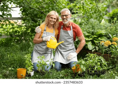 Gardening Concept. Happy Mature Spouses Planting Together In Garden, Cheerful Senior Couple Wearing Aprons Watering Plants And Smiling At Camera, Enjoying Retirement Leisure, Copy Space - Powered by Shutterstock