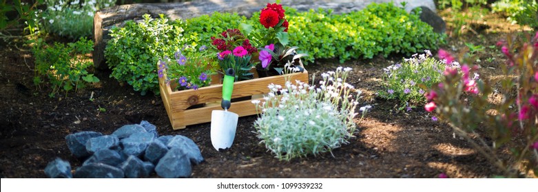 Gardening. Crate Full of Gorgeous Plants and Garden Tools Ready for Planting In Sunny Garden. Spring Garden Works Concept. Garden Landscaping small business start up. Web banner.