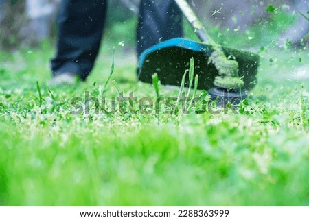 Gardening. Cutting the lawn with cordless grass trimmer, edger, close-up.