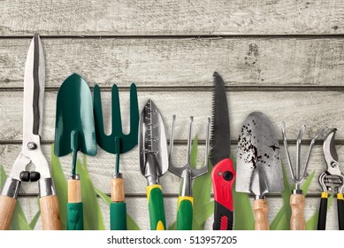 Gardening equipment. - Shutterstock ID 513957205