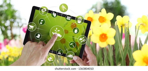 Gardening Equipment E-commerce Concept, Online Shopping On Digital Tablet, Hand Pointing And Touch Screen With Green Tools Icons, On Spring Flower Plants Background