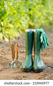 Gardening Equipment: Tiny Spade, Rake, Gum Boots And Gloves