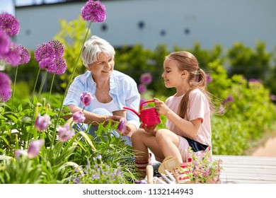 gardening, family and people concept - happy grandmother and granddaughter planting flowers at summer garden