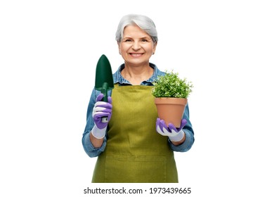 gardening, farming and old people concept - portrait of smiling senior woman in green garden apron and gloves with flower in pot and trowel over white background - Powered by Shutterstock