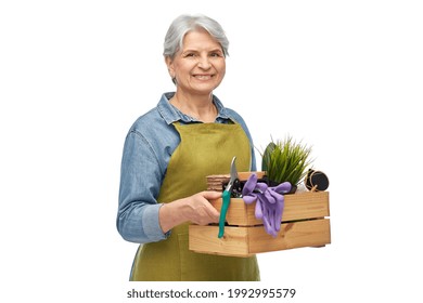 gardening, farming and old people concept - portrait of smiling senior woman in green apron holding wooden box with garden tools over white background - Powered by Shutterstock