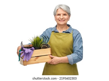 gardening, farming and old people concept - portrait of smiling senior woman in green apron holding wooden box with garden tools over white background - Powered by Shutterstock