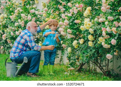 Grandfather Child Gardening Images Stock Photos Vectors