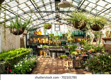 Greenhouse Interior Images Stock Photos Vectors Shutterstock