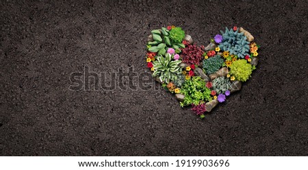 Gardening hobby and garden love landscaping design shaped as a heart with a flowerbed and ornamental plants in a decorative landscaped horticulture symbol for outdoor lifestyle with copy space.