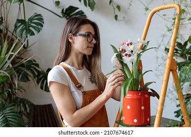Gardening as hobby. Young woman local florist preparing indoor plant orchid flower for sale while working in plant shop, female in eyeglasses enjoying work in cozy home garden full of houseplants