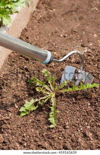 Gardening Hoe Garden