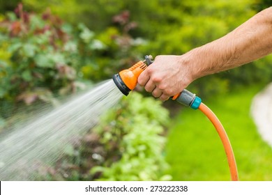 Gardening, Hose, Watering.