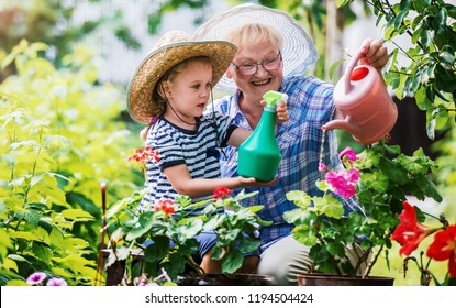 Gardening with kids. Grandmother and her grandchild enjoying in the garden with flowers. Hobbies and leisure, lifestyle, family life - Powered by Shutterstock