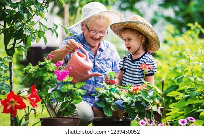 Gardening with a kids. Grandmother and her grandchild enjoying in the garden with flowers. Hobbies and leisure, lifestyle, family life - Powered by Shutterstock