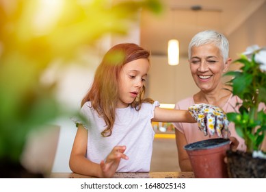 Gardening with kids. Senior woman and her granddaughter working in the home garden with a plants. Hobbies and leisure, lifestyle, family life. Family Planting Flowers Together - Powered by Shutterstock