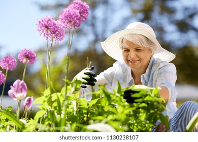 69,415 Happy Senior Garden Images, Stock Photos & Vectors 