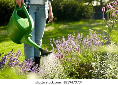 Gardening And People Concept - Young Woman With Watering Can Pouring Water To Flowers At Garden