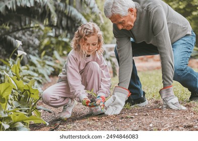 Gardening, planting and grandfather teaching girl in backyard for growth or landscaping. Earth day, spring or sustainability with senior man gardener and granddaughter together for growing plants - Powered by Shutterstock