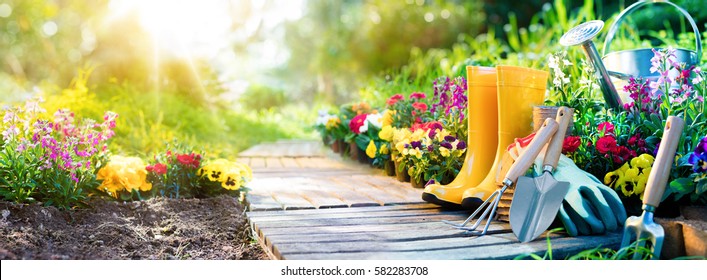 Gardening - Set Of Tools For Gardener And Flowerpots In Sunny Garden
 - Shutterstock ID 582283708
