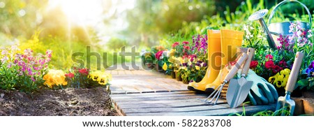 Gardening - Set Of Tools For Gardener And Flowerpots In Sunny Garden
