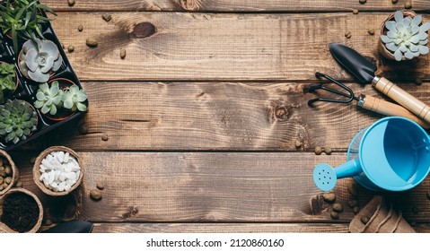 Gardening - Set Of Tools For Gardener And Succulents Seedlings On Wooden Table Background. Spring Garden Works Concept, Home Jungle, Home Hobby For Whole Family. Long Banner.