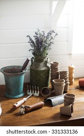 gardening still life with old vase and mortar and pestle