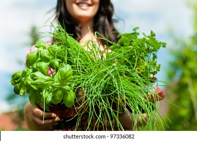 Gardening in summer - happy woman with different kind of fresh herbs - Powered by Shutterstock