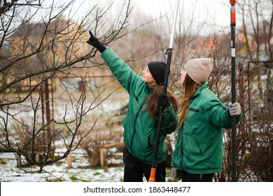 Gardening Team, Cute Caucasian Female Gardeners Pruning Apple Tree Branches With Hedge Trimmer And Pruning Shears, Concept Winter Spring Tree Pruning And Winter Garden Care