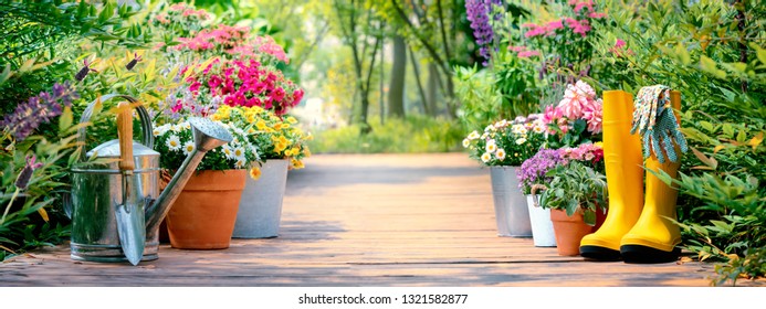 Gartenwerkzeuge und Blumen im Garten
