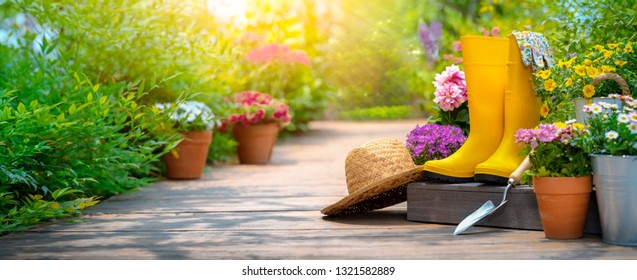 Gartenwerkzeuge und Blumen im Garten
