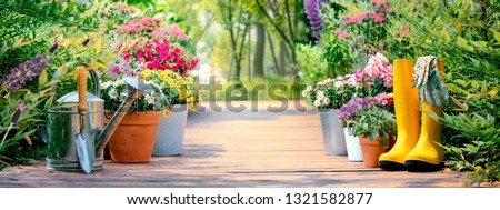 Similar – Image, Stock Photo Watering can with daisies