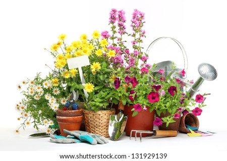 Similar – Image, Stock Photo Watering can with daisies