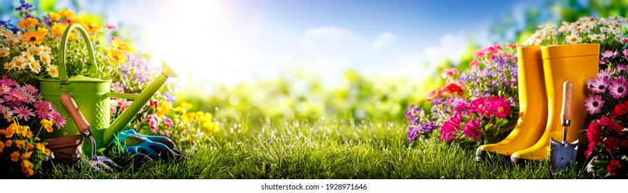 Gardening tools and flowers on meadow at sunny day - Powered by Shutterstock