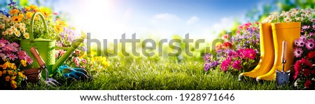 Gardening tools and flowers on meadow at sunny day