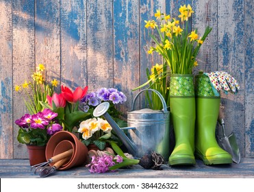 Gardening Tools And Flowers On The Terrace In The Garden