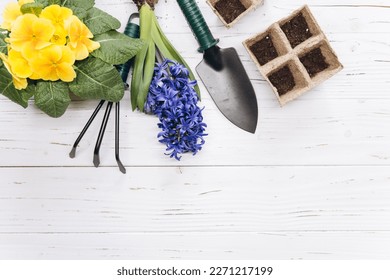 Gardening tools and flowers on white wooden background top view. Home spring gardening hobbies. - Powered by Shutterstock